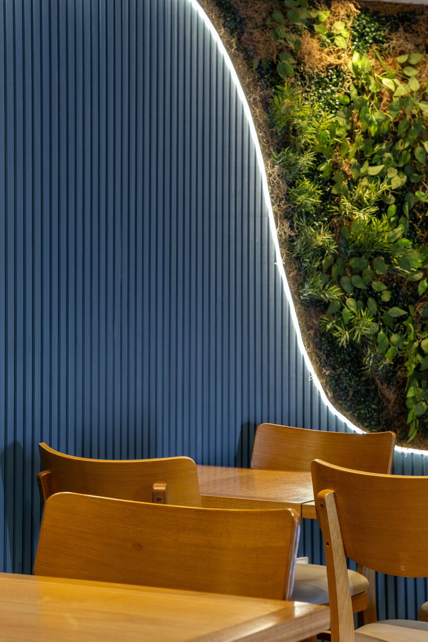 Vini Ripado Azul Maré - Restaurante Janga - Alan Gaia (Créditos: Nuno Moreira).